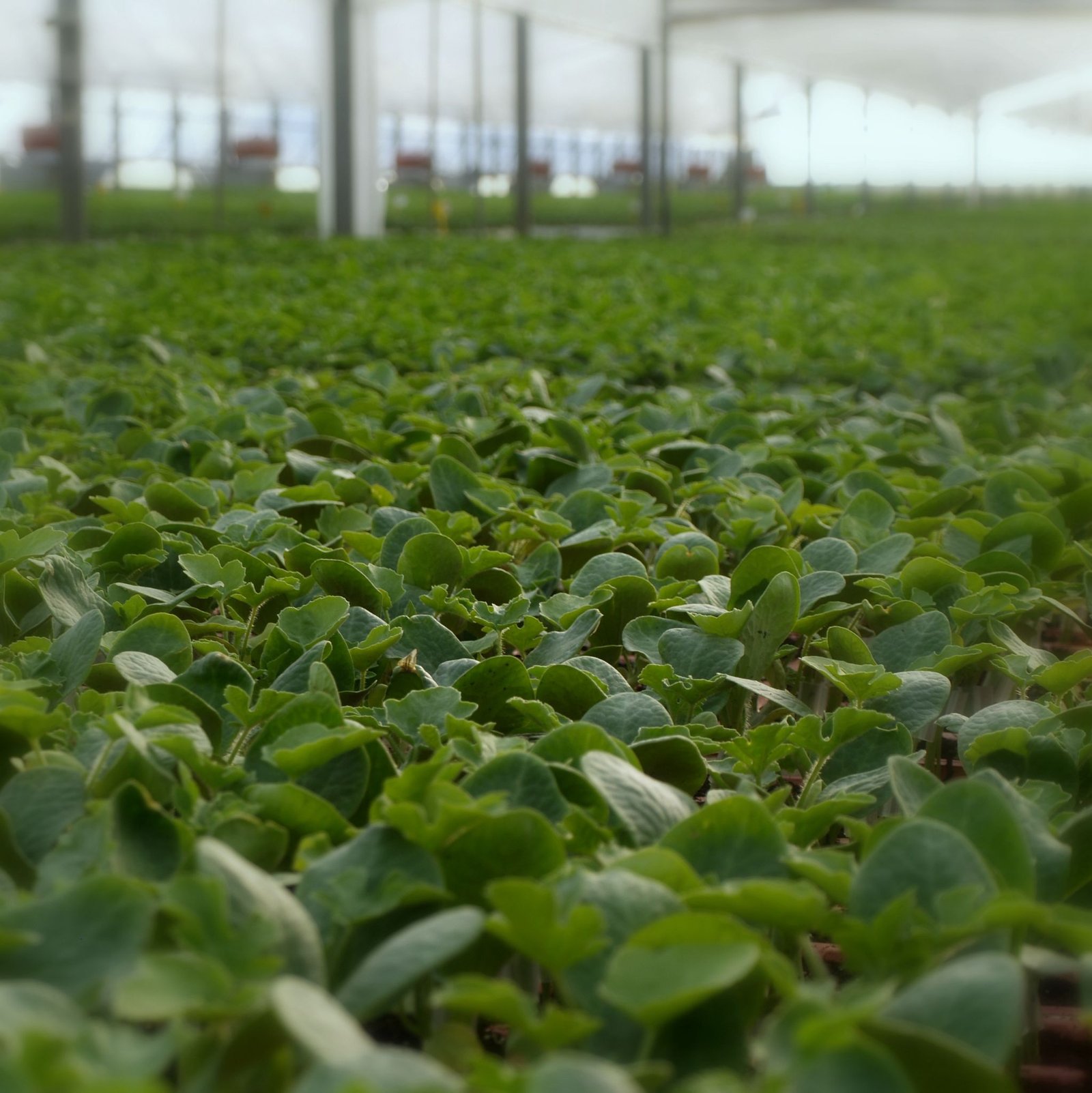 Whatsapp Image 2025 08 12 At 08.22.35 Whatsapp Image 2025 08 12 At 08.22.35