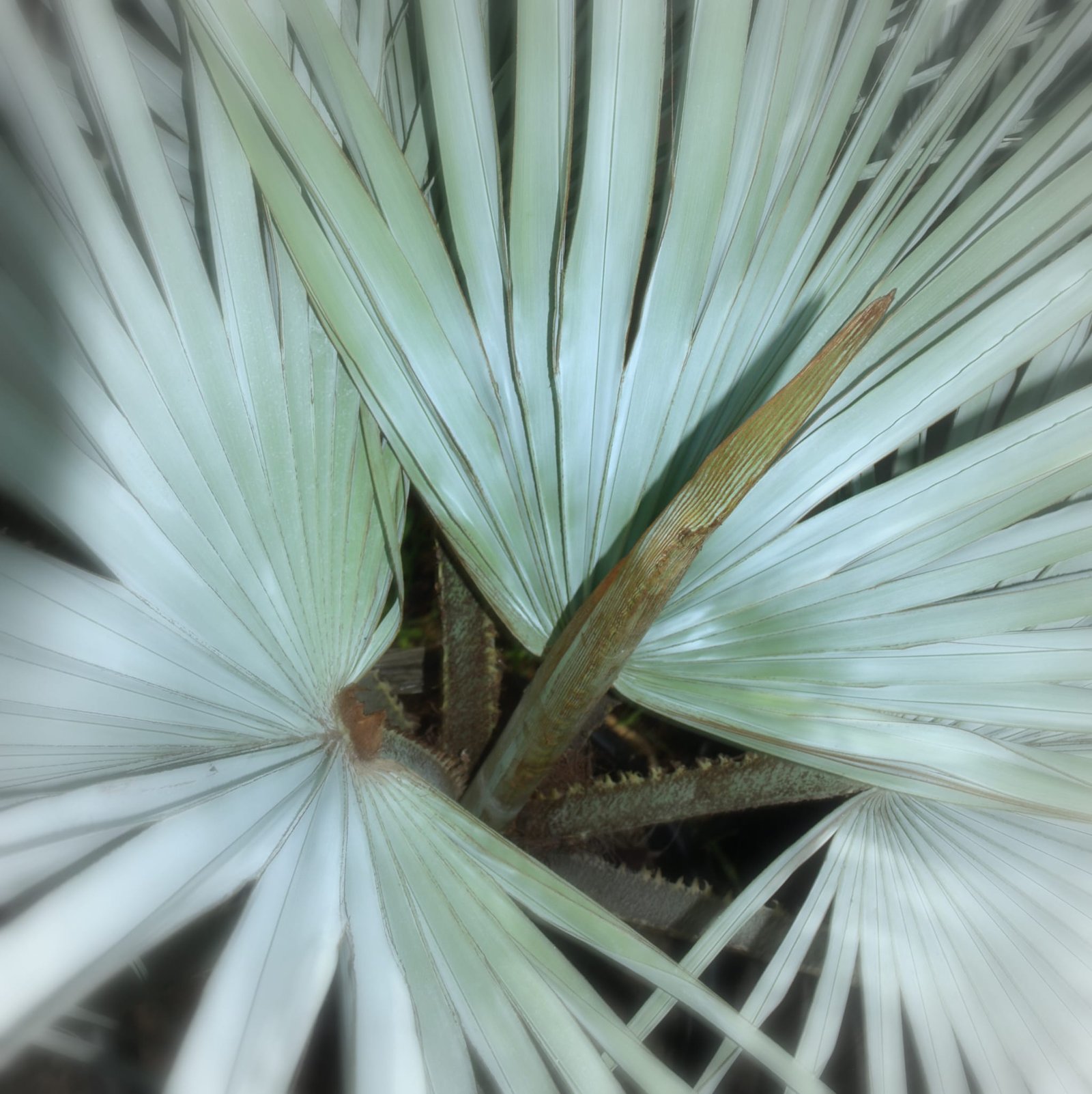 Whatsapp Image 2025 08 12 At 08.45.25 Whatsapp Image 2025 08 12 At 08.45.25